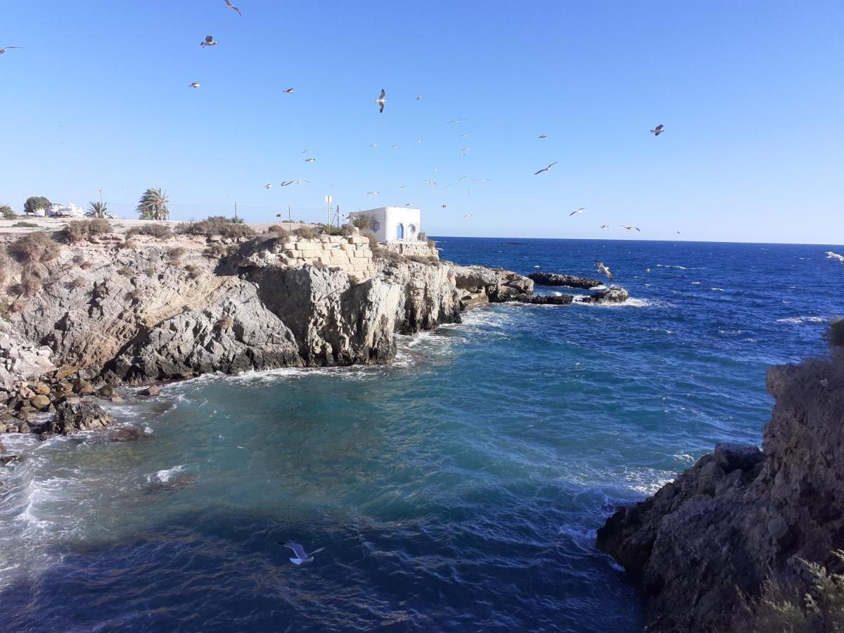 Apartamento Santa Pola, En Playa Del Tamarit Con Piscina. Eksteriør bilde