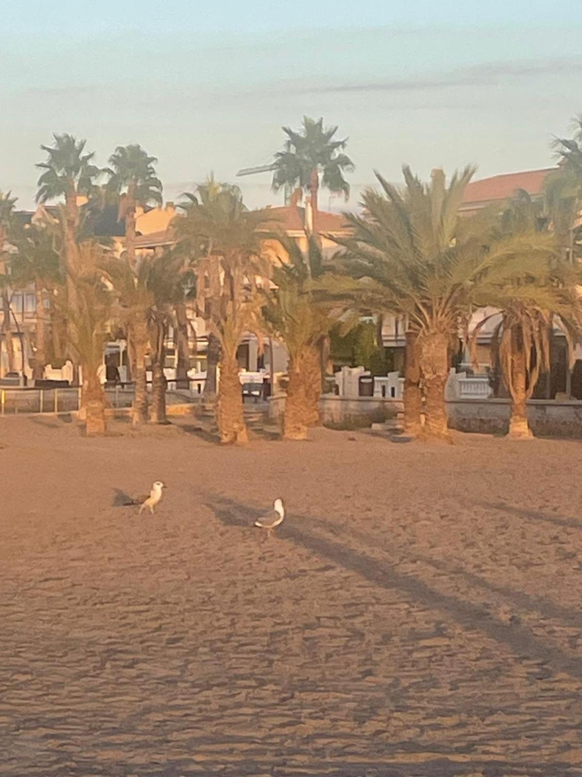 Apartamento Santa Pola, En Playa Del Tamarit Con Piscina. Eksteriør bilde